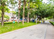 德弘天下华府-环境绿化