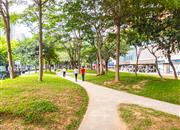 德弘天下华府-环境绿化