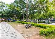 德弘天下华府-环境绿化