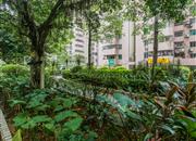 龙珠花园（C区）-环境绿化