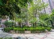 龙珠花园（C区）-环境绿化