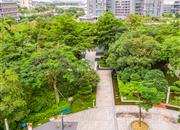 太古城花园（南区）-环境绿化