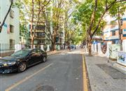 南油B区-环境绿化