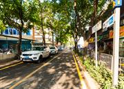 南油B区-环境绿化