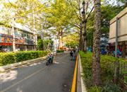 南油B区-环境绿化