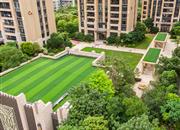 吉祥龙花园-环境绿化