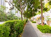 吉祥龙花园-环境绿化