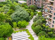 雍景湾花园-环境绿化