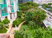 蔚蓝海岸社区四期-环境绿化