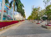 电力花园一期-环境绿化