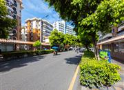 荔雅居-环境绿化