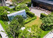 华润深圳湾瑞府-环境绿化