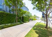 华润深圳湾瑞府-环境绿化