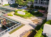 深圳湾创新科技中心-环境绿化