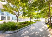 深圳湾创新科技中心-环境绿化