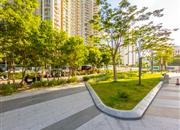 深圳湾创新科技中心-环境绿化