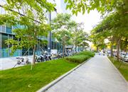 深圳湾创新科技中心-环境绿化