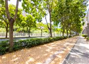 三湘海尚花园一期-环境绿化