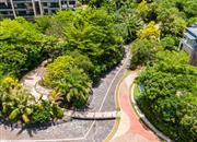 三湘海尚花园一期-环境绿化