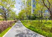 瑧湾汇-环境绿化