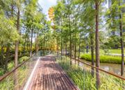 瑧湾汇-环境绿化