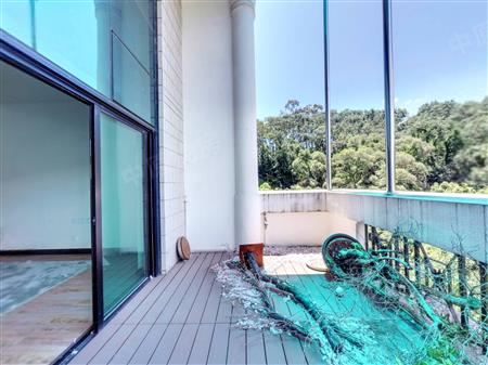 百仕达花园一期-阳台