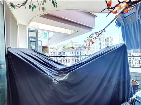 南海玫瑰园（二期）-阳台