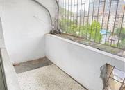 东乐花园(罗湖)-阳台