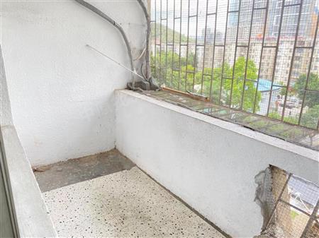 东乐花园(罗湖)-阳台