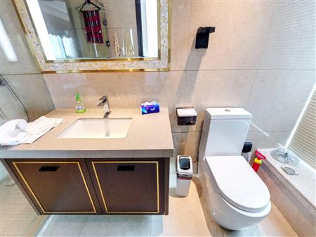 中心天元-卫生间