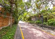 半山海景别墅-环境绿化