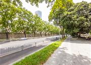 半山海景别墅-环境绿化