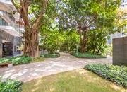 半山海景.兰溪谷二期-环境绿化