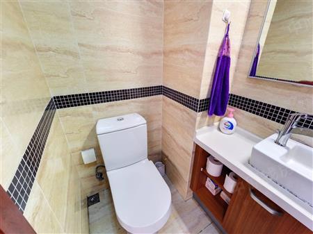 万科麓城一期（金域上郡花园一期)-卫生间