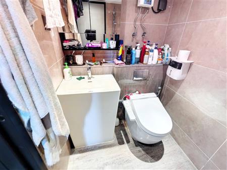 万科麓山（万科麓城四期商办、金域领峰花园)-卫生间