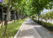 三湘海尚花园二期-环境绿化