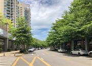 三湘海尚花园二期-环境绿化