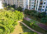 东方沁园-环境绿化