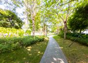 海上世界双玺花园二期-环境绿化