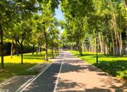 红树西岸-环境绿化