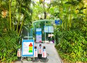 红树西岸-环境绿化