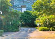 红树西岸-环境绿化