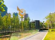 红树西岸-环境绿化