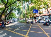 南油A区-环境绿化