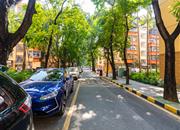 南油A区-环境绿化