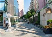 深圳湾公馆-环境绿化