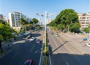 深圳湾公馆-环境绿化