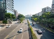 深圳湾公馆-环境绿化