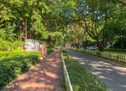 纯水岸四期-环境绿化