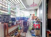 赛普振华苑-阳台